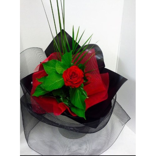 The Valentine Rose